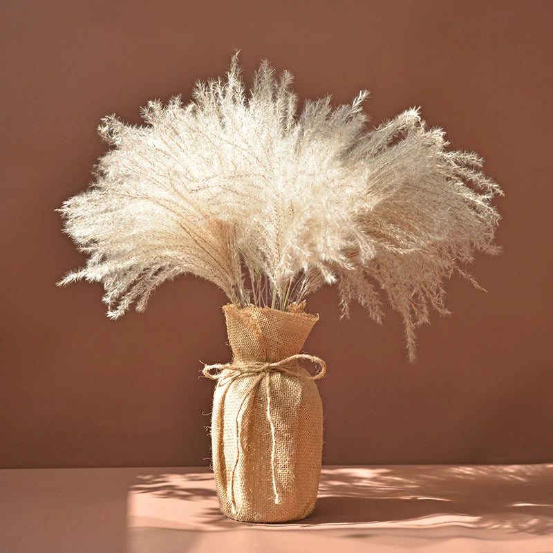 Fluffy Pampas Grass Decoration Boho Wedding Floral Arrangement Natural Phragmites Dried Flowers Bouquet Home Coffee Table Decor