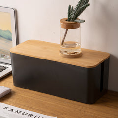 Computer Hub Plug-in Board Organizer