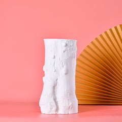 Simple And Fashionable Straight Flower Vase In White And Black Vase