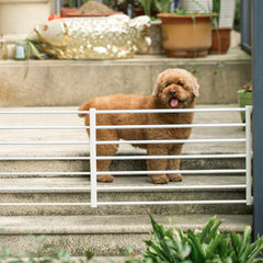 No Hole Punching Pet Dog Isolation Fence